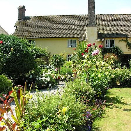 Exmoor Owl & Hawk Centre Acomodação com café da manhã Bossington Exterior foto