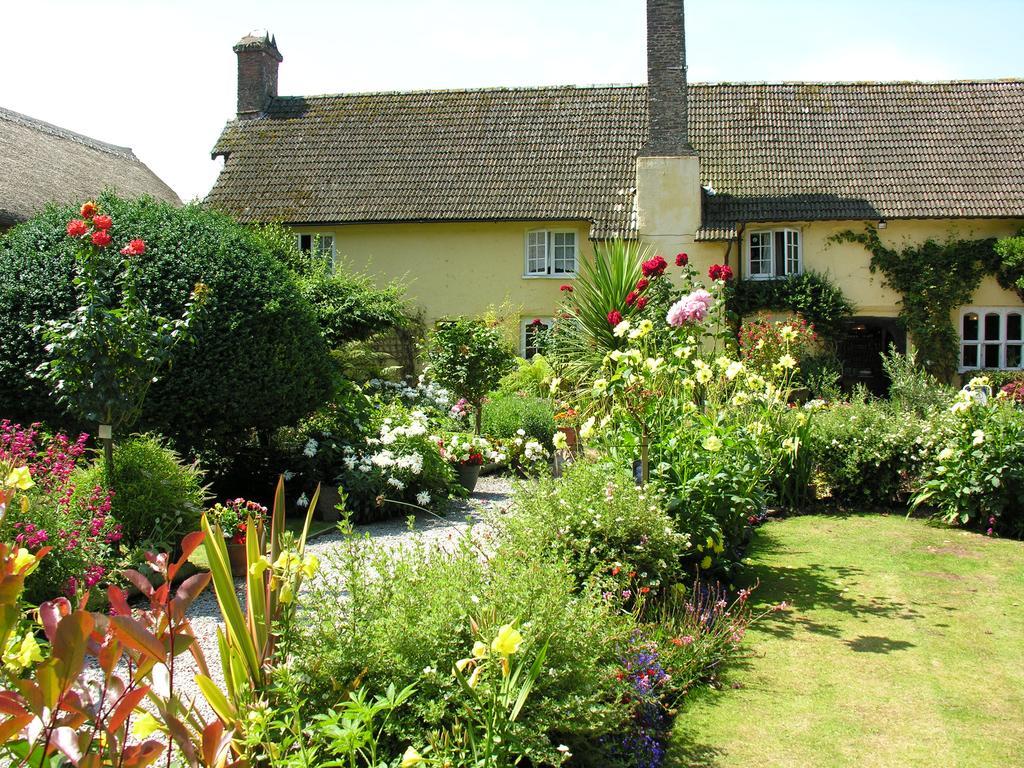 Exmoor Owl & Hawk Centre Acomodação com café da manhã Bossington Exterior foto