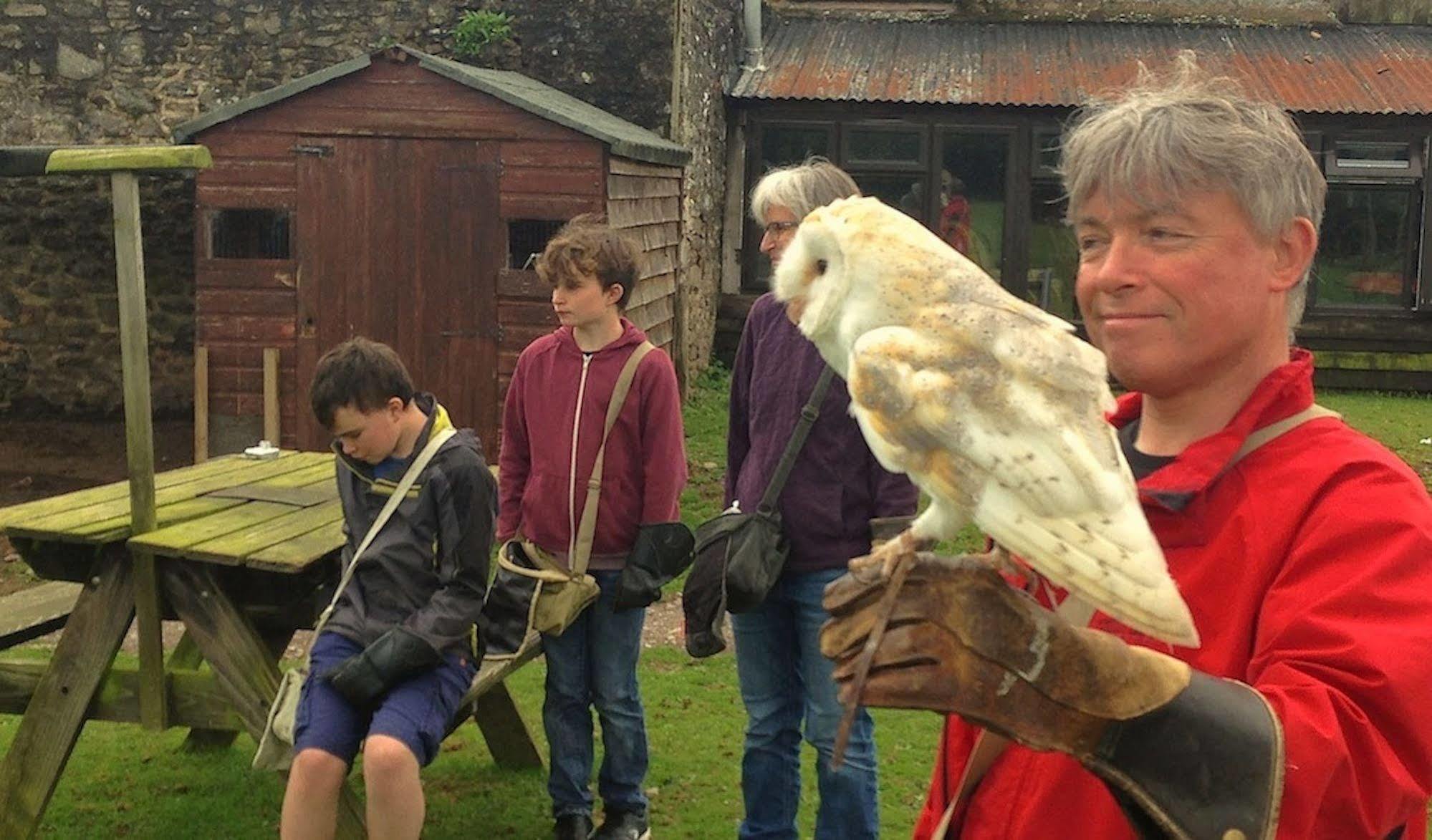 Exmoor Owl & Hawk Centre Acomodação com café da manhã Bossington Exterior foto