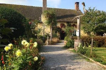 Exmoor Owl & Hawk Centre Acomodação com café da manhã Bossington Exterior foto